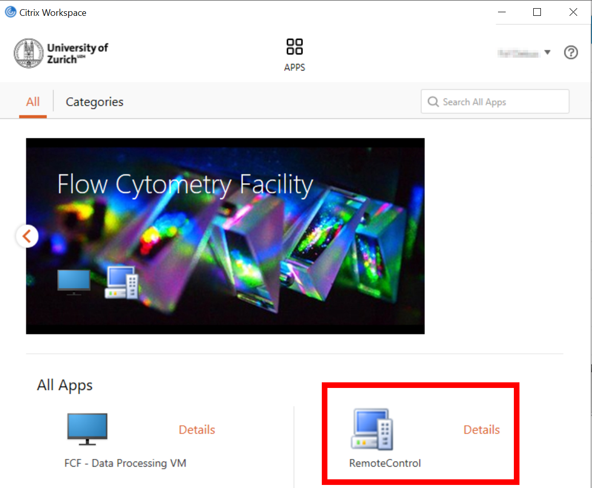 Remote Control in Citrix Workspace